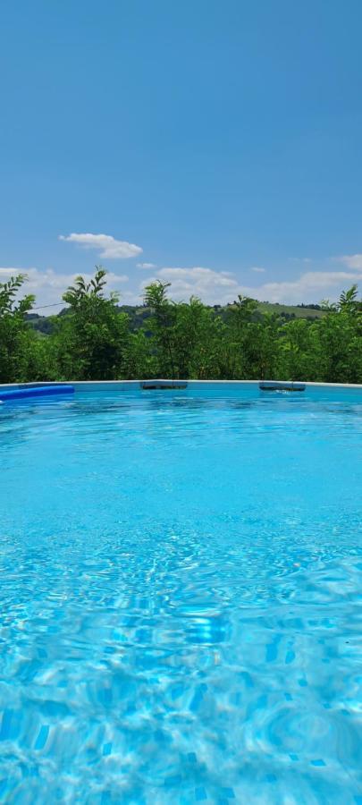 Terrazzaponente Bed & Breakfast Monte San Pietro Luaran gambar